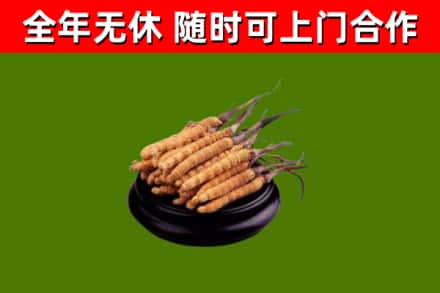 濉溪县烟酒回收冬虫夏草.jpg