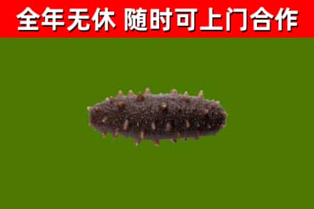 濉溪县烟酒回收干海参.jpg